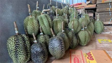 8dd10701fb276f7978d7b4e4c33bb8f7.jpg 8dd10701fb276f7978d7b4e4c33bb8f7.jpg