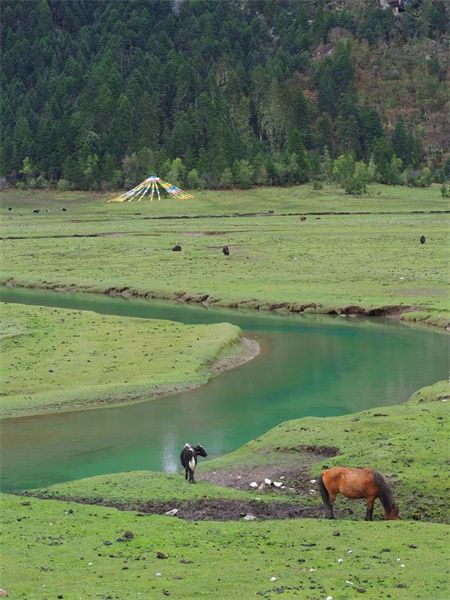 b8e6f809cf43eb4655e8da75ce6d65af.jpg b8e6f809cf43eb4655e8da75ce6d65af.jpg