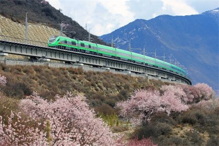 dc90f0217378bc2e85fe7f1f65d1bf63.jpg dc90f0217378bc2e85fe7f1f65d1bf63.jpg