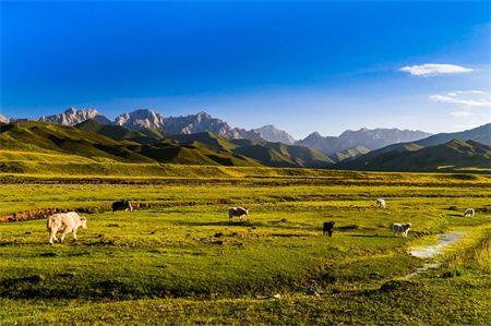 31a33e686177442551ea553cd7cbef96.jpg 31a33e686177442551ea553cd7cbef96.jpg