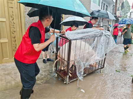 91cfa74b5f8d486350a11f62e7f970cc.jpg 91cfa74b5f8d486350a11f62e7f970cc.jpg