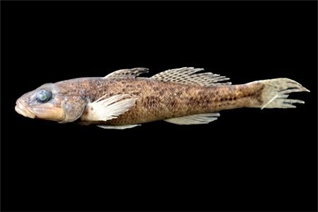 7134360613a1414f26c08dc48c3f5e7a.jpg 7134360613a1414f26c08dc48c3f5e7a.jpg