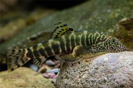 b298ff138c0184bc6fdd47ed62dc16af.jpg b298ff138c0184bc6fdd47ed62dc16af.jpg