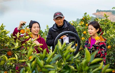 fde9276bb3f505073a2c9c9132ffe2cd.jpg fde9276bb3f505073a2c9c9132ffe2cd.jpg