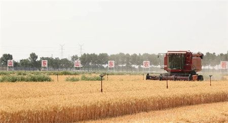 41896f6765abd22be3de88d6d707f9a3.jpg 41896f6765abd22be3de88d6d707f9a3.jpg