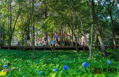 db60be23377d4fd2a91f4c820f1edd4d.jpg db60be23377d4fd2a91f4c820f1edd4d.jpg