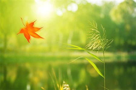 0edc591bc9d0dbef957b5cb114884870.jpg 0edc591bc9d0dbef957b5cb114884870.jpg