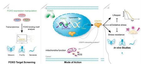 d096729bdb01dc6b18a5333c04751b73.jpg d096729bdb01dc6b18a5333c04751b73.jpg