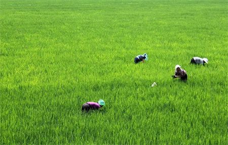 4f1c63208c6f874a07a9881929b5d254.jpg 4f1c63208c6f874a07a9881929b5d254.jpg