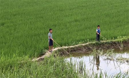 b7c1a10553e770a8b8c9fbf8f728f7b8.jpg b7c1a10553e770a8b8c9fbf8f728f7b8.jpg