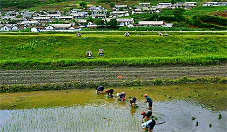 e3d38a3847d2db5501e68ce32f4463a0.jpg e3d38a3847d2db5501e68ce32f4463a0.jpg