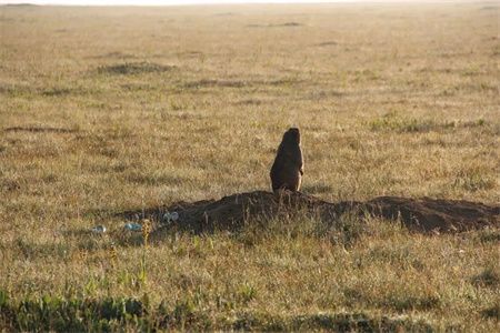 0febfd5e9ea0628060c58ee0acd7882a.jpg 0febfd5e9ea0628060c58ee0acd7882a.jpg