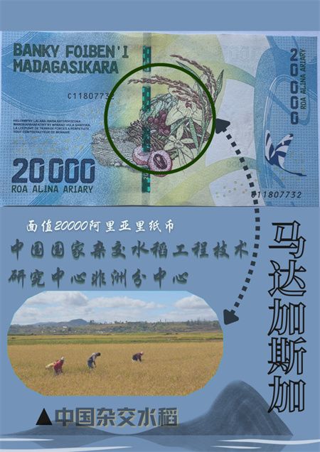 c0e9978f35df20675dfa3d65fa5c09bd.jpg c0e9978f35df20675dfa3d65fa5c09bd.jpg