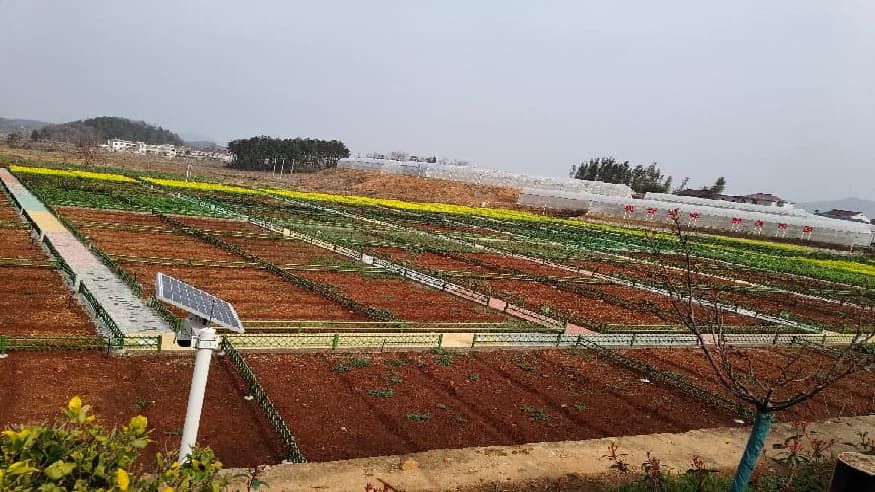 e3629332b567adcb85c7223807898729.jpg e3629332b567adcb85c7223807898729.jpg