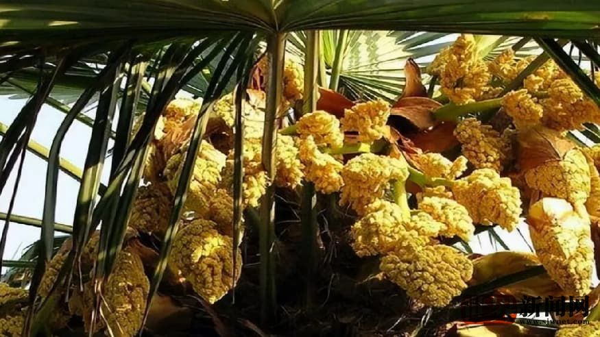 80560621a58151f320c7524b756c7f49.jpg 80560621a58151f320c7524b756c7f49.jpg