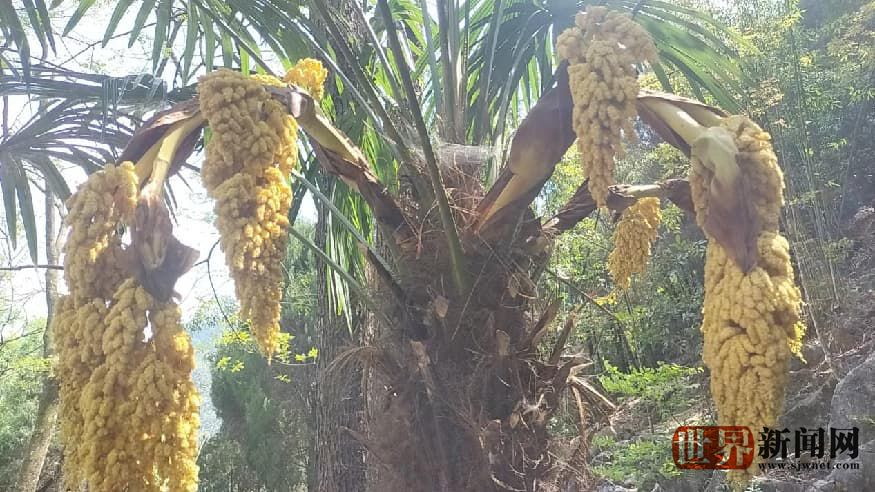 850a61a3aec8e4d0ee26fa202790a528.jpg 850a61a3aec8e4d0ee26fa202790a528.jpg