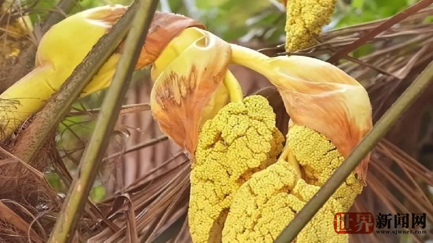 c5faad93f3665b3403a040dd27659a89.jpg c5faad93f3665b3403a040dd27659a89.jpg