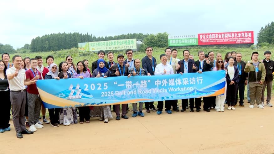 90a26a01b8134675a13b1573fca067cb.jpg